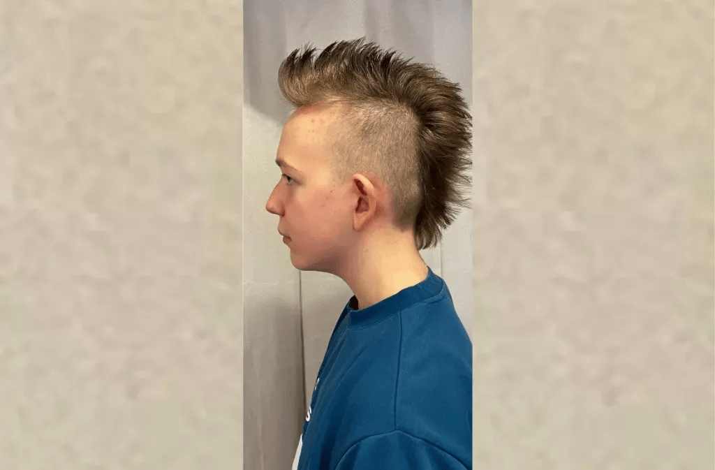 Rouge Haircut With a Fake Hawk