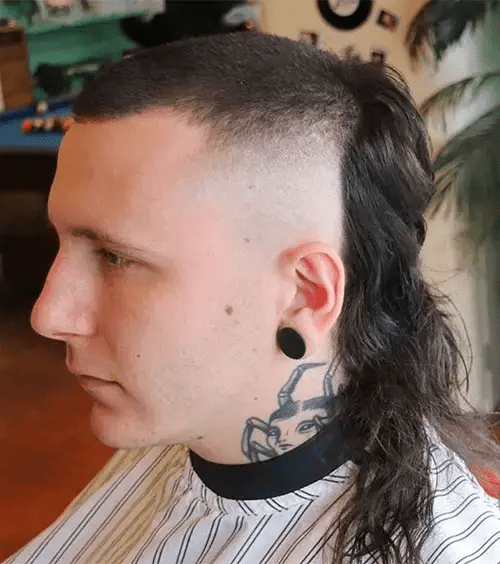 skullet haircut gallery