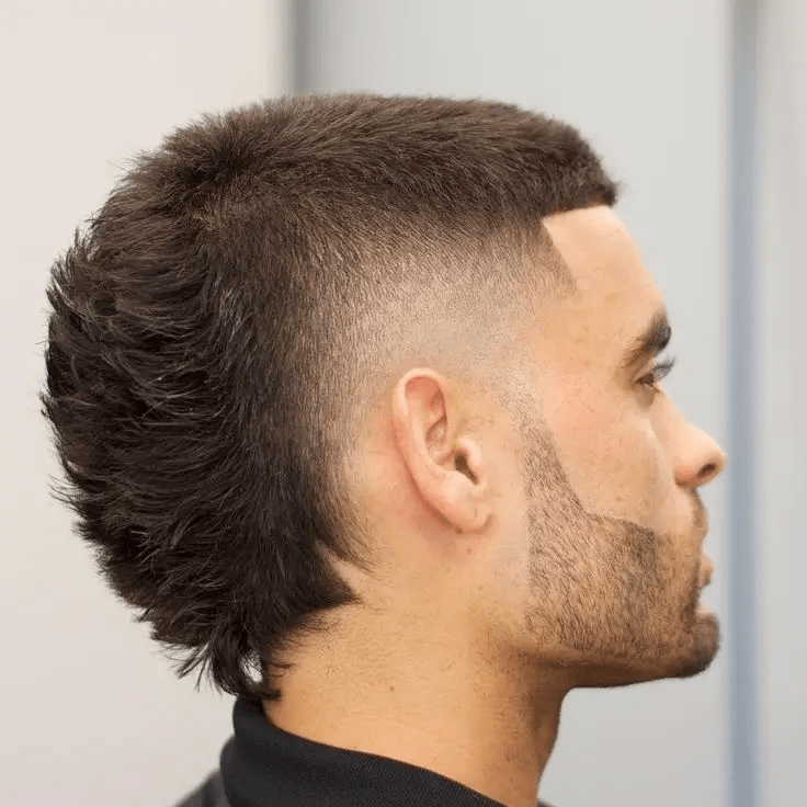 skullet haircut gallery