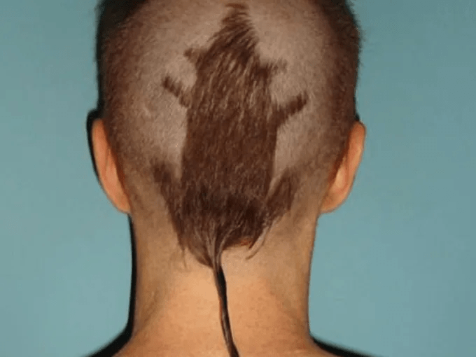 rat tail haircut gallery