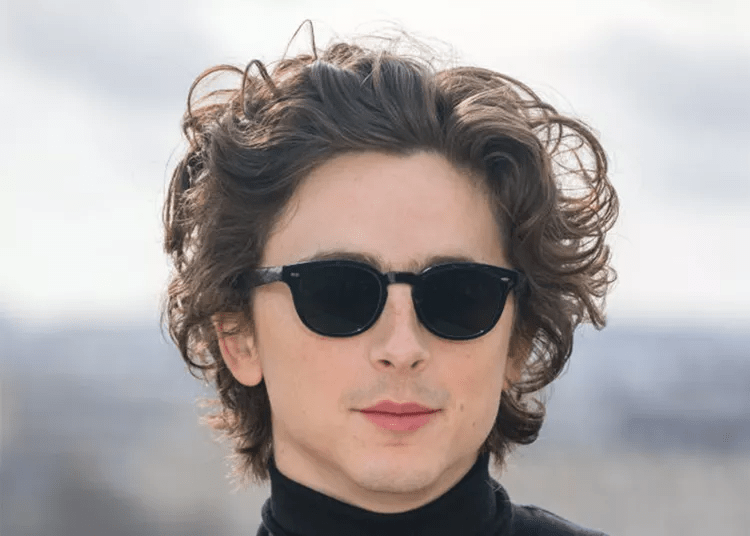 Timothée Chalamet’s haircuts gallery