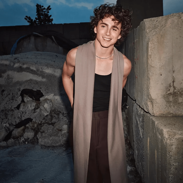 Timothée Chalamet’s haircuts gallery