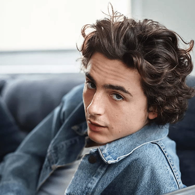 Timothée Chalamet’s haircuts gallery