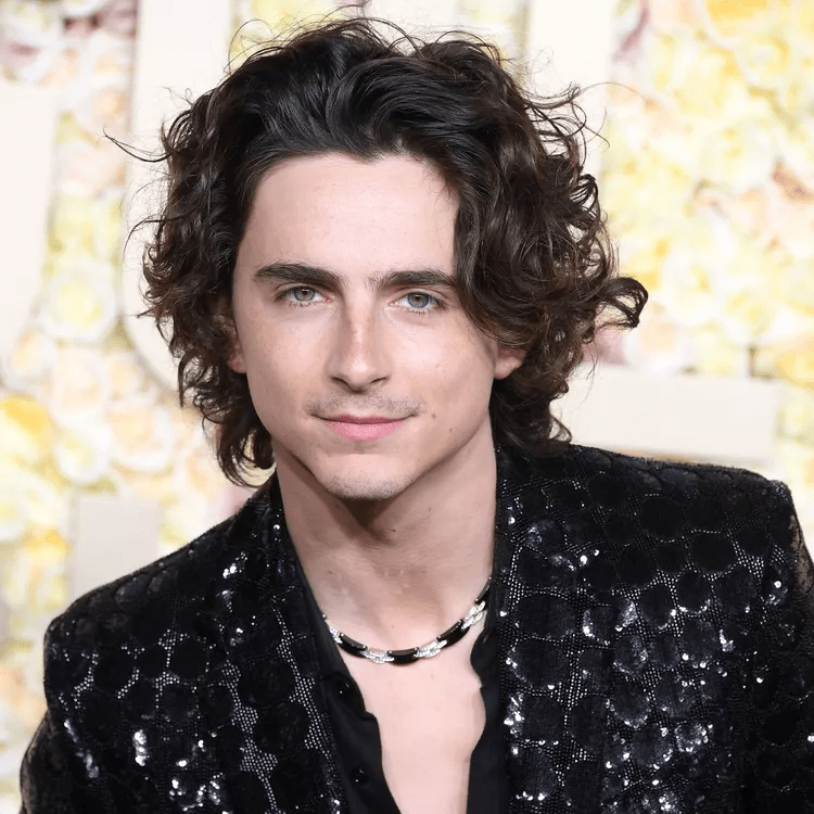 Timothée Chalamet’s haircuts gallery