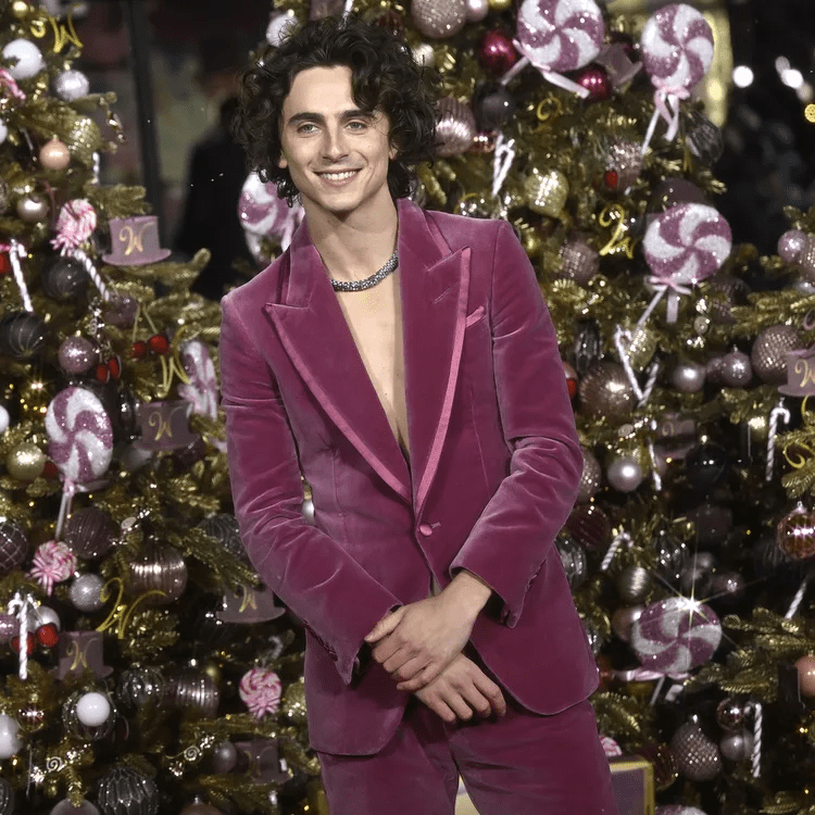 Timothée Chalamet’s haircuts gallery