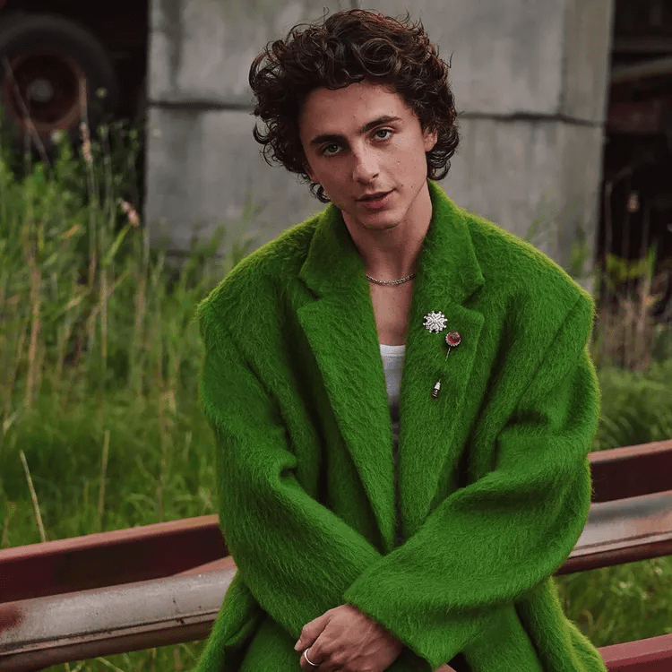 Timothée Chalamet’s haircuts gallery