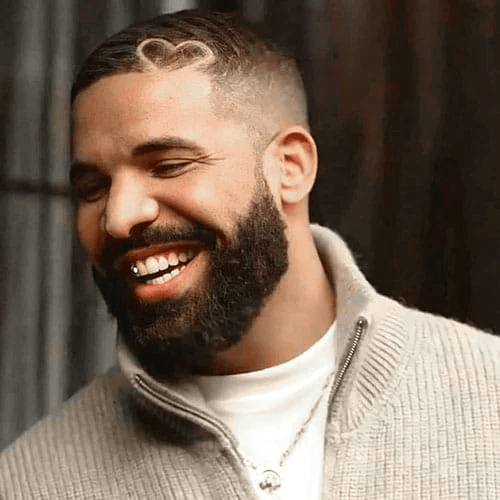 Drake haircut gallery