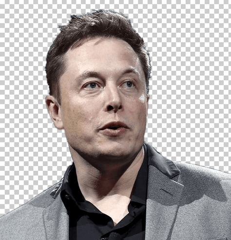 Elon Musk haircut gallery