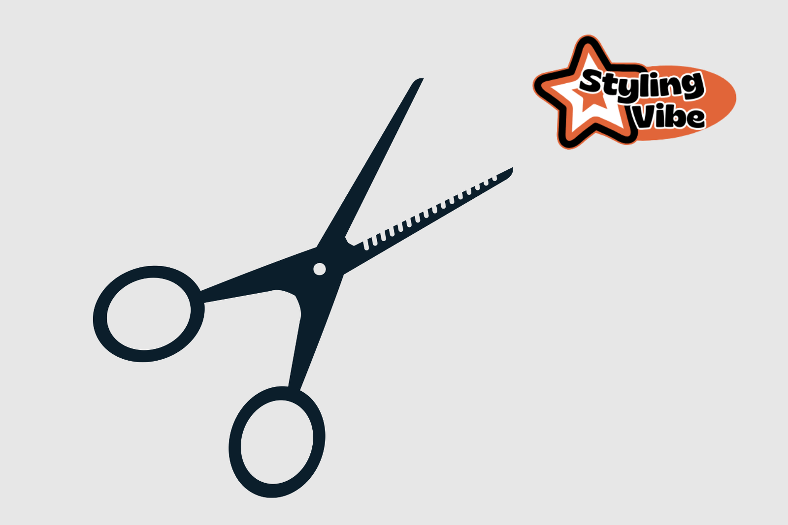 Sam Sulek Haircut: How to Get the Signature Look